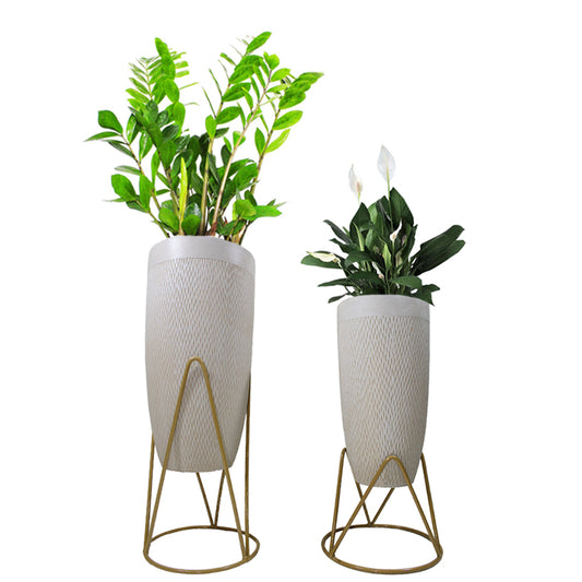 Stand SP B - www.Greenie.ae Buy online Best and Healthy Plants and quality products guarantee in Dubai Plants Shop in Dubai Abu Dhabi all over UAE Plants near me Fresh Plants in Dubai where to buy plants in UAE - Greenie.ae