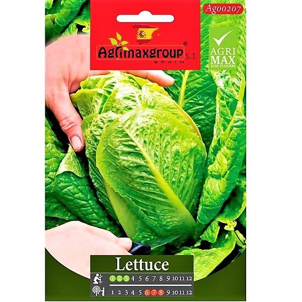 Lettuce Seeds - www.Greenie.ae Buy online Best and Healthy Plants and quality products guarantee in Dubai Plants Shop in Dubai Abu Dhabi all over UAE Plants near me Fresh Plants in Dubai where to buy plants in UAE - Greenie.ae