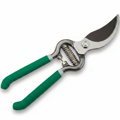 Greenlawn Garden Shear Pruning Cutter Made in Taiwan - www.Greenie.ae Buy online Best and Healthy Plants and quality products guarantee in Dubai Plants Shop in Dubai Abu Dhabi all over UAE Plants near me Fresh Plants in Dubai where to buy plants in UAE - Greenie.ae