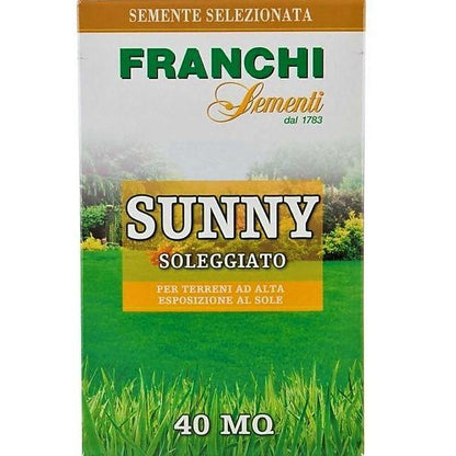 Grass Seeds Sunny Franchi - www.Greenie.ae Buy online Best and Healthy Plants and quality products guarantee in Dubai Plants Shop in Dubai Abu Dhabi all over UAE Plants near me Fresh Plants in Dubai where to buy plants in UAE - Greenie.ae