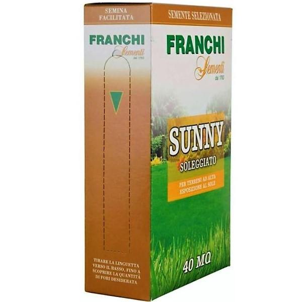 Grass Seeds Sunny Franchi - www.Greenie.ae Buy online Best and Healthy Plants and quality products guarantee in Dubai Plants Shop in Dubai Abu Dhabi all over UAE Plants near me Fresh Plants in Dubai where to buy plants in UAE - Greenie.ae