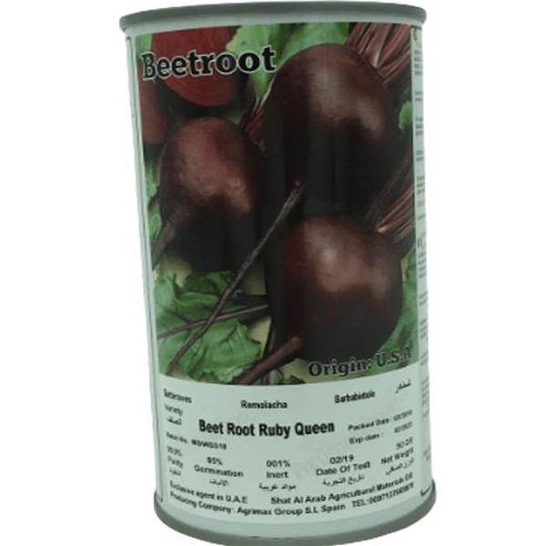 Ruby Queen Beetroot Seeds Tin - www.Greenie.ae Buy online Best and Healthy Plants and quality products guarantee in Dubai Plants Shop in Dubai Abu Dhabi all over UAE Plants near me Fresh Plants in Dubai where to buy plants in UAE - Greenie.ae
