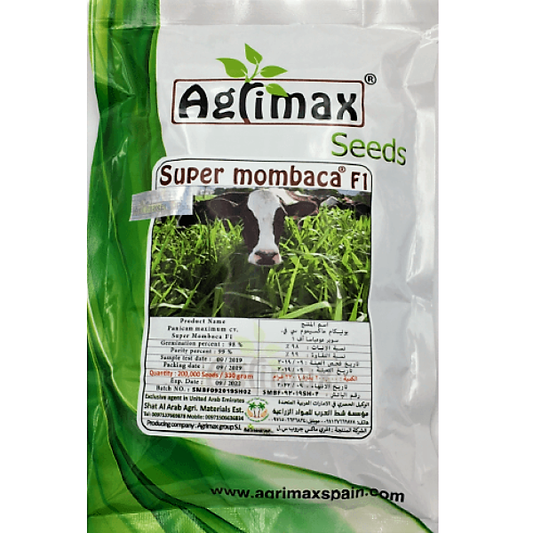 Super Mombaca F1 200K Premium Quality Seeds - www.Greenie.ae Buy online Best and Healthy Plants and quality products guarantee in Dubai Plants Shop in Dubai Abu Dhabi all over UAE Plants near me Fresh Plants in Dubai where to buy plants in UAE - Greenie.ae