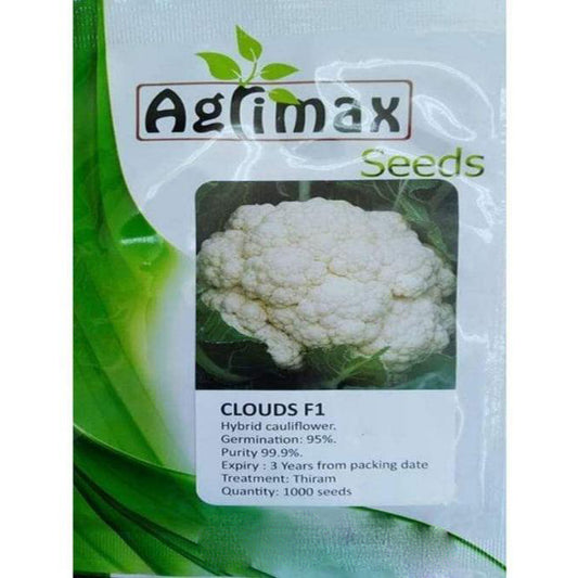Cauliflower Clouds F1 Premium Seeds - www.Greenie.ae Buy online Best and Healthy Plants and quality products guarantee in Dubai Plants Shop in Dubai Abu Dhabi all over UAE Plants near me Fresh Plants in Dubai where to buy plants in UAE - Greenie.ae