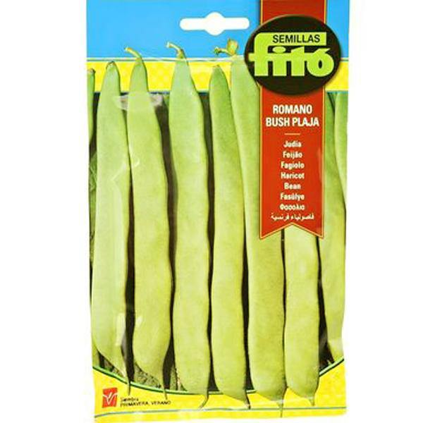 Bean Perolar Seeds - www.Greenie.ae Buy online Best and Healthy Plants and quality products guarantee in Dubai Plants Shop in Dubai Abu Dhabi all over UAE Plants near me Fresh Plants in Dubai where to buy plants in UAE - Greenie.ae