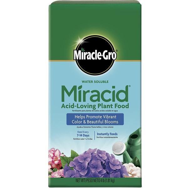 Miracle-Gro Acid-Loving Plant Food - www.Greenie.ae Buy online Best and Healthy Plants and quality products guarantee in Dubai Plants Shop in Dubai Abu Dhabi all over UAE Plants near me Fresh Plants in Dubai where to buy plants in UAE - Greenie.ae