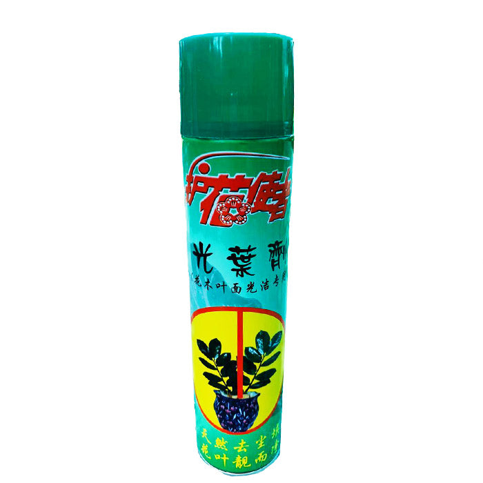 Leaf Shine Spray - www.Greenie.ae Buy online Best and Healthy Plants and quality products guarantee in Dubai Plants Shop in Dubai Abu Dhabi all over UAE Plants near me Fresh Plants in Dubai where to buy plants in UAE - Greenie.ae