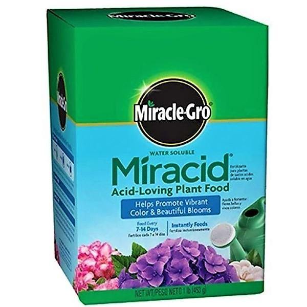 Miracle-Gro Acid-Loving Plant Food - www.Greenie.ae Buy online Best and Healthy Plants and quality products guarantee in Dubai Plants Shop in Dubai Abu Dhabi all over UAE Plants near me Fresh Plants in Dubai where to buy plants in UAE - Greenie.ae