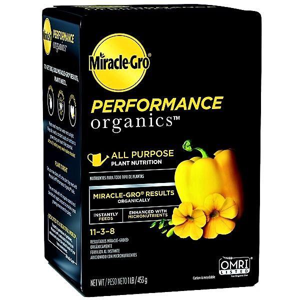 Miracle-Gro All Purpose Plant Nutrition - www.Greenie.ae Buy online Best and Healthy Plants and quality products guarantee in Dubai Plants Shop in Dubai Abu Dhabi all over UAE Plants near me Fresh Plants in Dubai where to buy plants in UAE - Greenie.ae