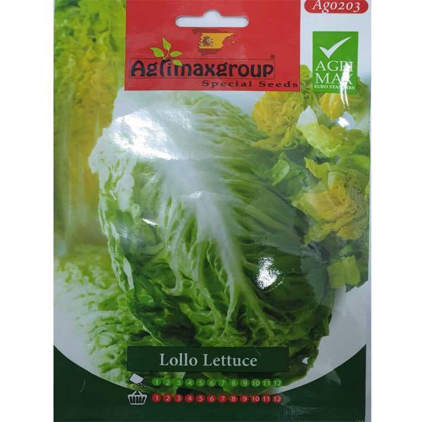 Lollo Lettuce Seeds - www.Greenie.ae Buy online Best and Healthy Plants and quality products guarantee in Dubai Plants Shop in Dubai Abu Dhabi all over UAE Plants near me Fresh Plants in Dubai where to buy plants in UAE - Greenie.ae