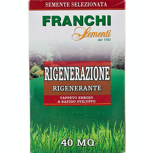 Grass Seeds by FRANCHI RIGENERAZIONE - www.Greenie.ae Buy online Best and Healthy Plants and quality products guarantee in Dubai Plants Shop in Dubai Abu Dhabi all over UAE Plants near me Fresh Plants in Dubai where to buy plants in UAE - Greenie.ae