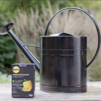 Miracle-Gro All Purpose Plant Nutrition - www.Greenie.ae Buy online Best and Healthy Plants and quality products guarantee in Dubai Plants Shop in Dubai Abu Dhabi all over UAE Plants near me Fresh Plants in Dubai where to buy plants in UAE - Greenie.ae