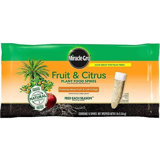 Miracle-Gro Fruit & Citrus Fertilizer Spikes - www.Greenie.ae Buy online Best and Healthy Plants and quality products guarantee in Dubai Plants Shop in Dubai Abu Dhabi all over UAE Plants near me Fresh Plants in Dubai where to buy plants in UAE - Greenie.ae