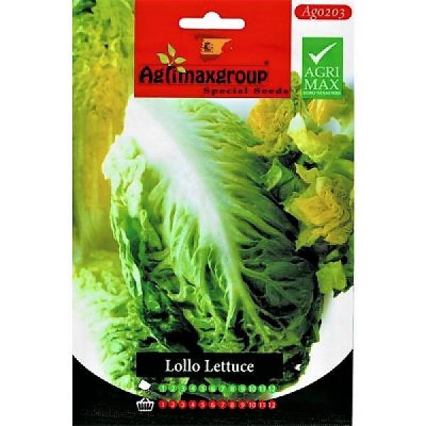 Lollo Lettuce Seeds - www.Greenie.ae Buy online Best and Healthy Plants and quality products guarantee in Dubai Plants Shop in Dubai Abu Dhabi all over UAE Plants near me Fresh Plants in Dubai where to buy plants in UAE - Greenie.ae