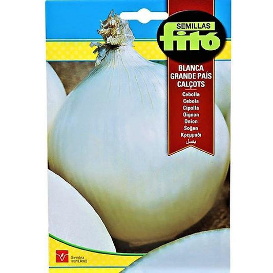 Onion Blanca Grande Pais Calcots Seeds - www.Greenie.ae Buy online Best and Healthy Plants and quality products guarantee in Dubai Plants Shop in Dubai Abu Dhabi all over UAE Plants near me Fresh Plants in Dubai where to buy plants in UAE - Greenie.ae