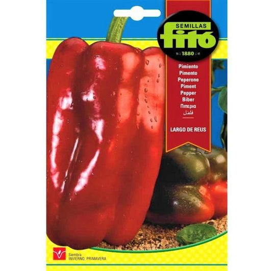 Pepper Largo De Reus Seeds - www.Greenie.ae Buy online Best and Healthy Plants and quality products guarantee in Dubai Plants Shop in Dubai Abu Dhabi all over UAE Plants near me Fresh Plants in Dubai where to buy plants in UAE - Greenie.ae
