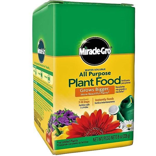 Miracle-Gro Water Soluble All Purpose Plant Food - www.Greenie.ae Buy online Best and Healthy Plants and quality products guarantee in Dubai Plants Shop in Dubai Abu Dhabi all over UAE Plants near me Fresh Plants in Dubai where to buy plants in UAE - Greenie.ae