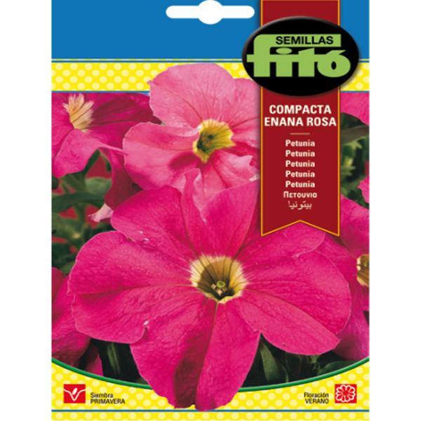 Petunia Dwarf, Compact Rose Seeds - www.Greenie.ae Buy online Best and Healthy Plants and quality products guarantee in Dubai Plants Shop in Dubai Abu Dhabi all over UAE Plants near me Fresh Plants in Dubai where to buy plants in UAE - Greenie.ae