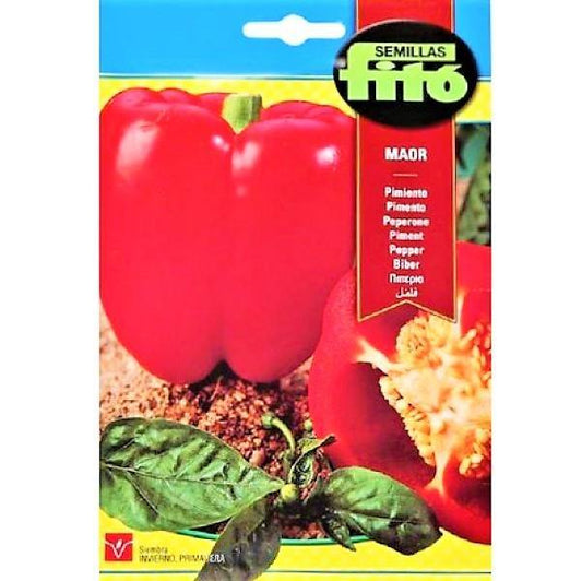 Pepper Maor Seeds - www.Greenie.ae Buy online Best and Healthy Plants and quality products guarantee in Dubai Plants Shop in Dubai Abu Dhabi all over UAE Plants near me Fresh Plants in Dubai where to buy plants in UAE - Greenie.ae