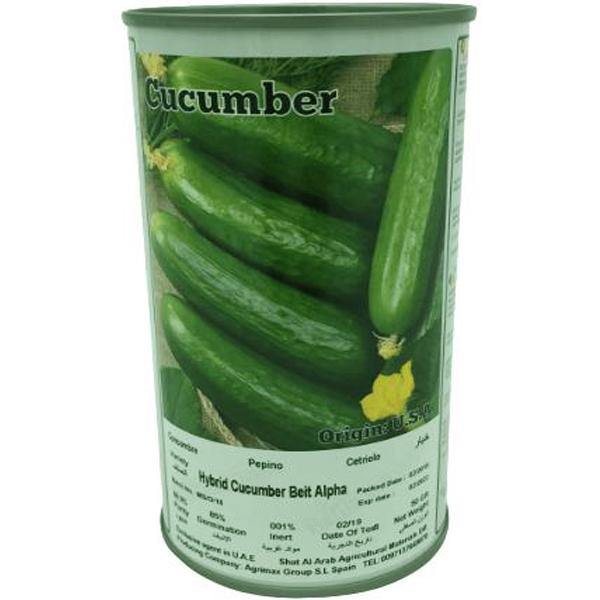 Hybrid Cucumber Beit Alpha Seeds Tin - www.Greenie.ae Buy online Best and Healthy Plants and quality products guarantee in Dubai Plants Shop in Dubai Abu Dhabi all over UAE Plants near me Fresh Plants in Dubai where to buy plants in UAE - Greenie.ae