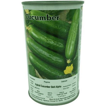 Hybrid Cucumber Beit Alpha Seeds Tin - www.Greenie.ae Buy online Best and Healthy Plants and quality products guarantee in Dubai Plants Shop in Dubai Abu Dhabi all over UAE Plants near me Fresh Plants in Dubai where to buy plants in UAE - Greenie.ae