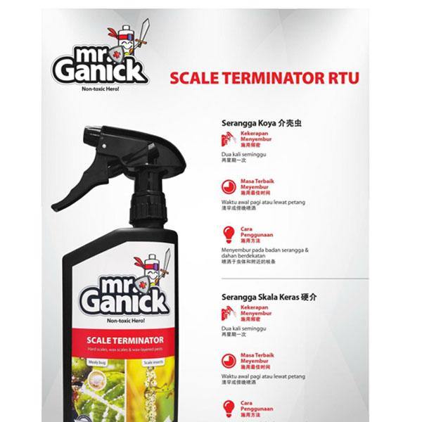 Organic Mealybug and Scale Terminator Spray - www.Greenie.ae Buy online Best and Healthy Plants and quality products guarantee in Dubai Plants Shop in Dubai Abu Dhabi all over UAE Plants near me Fresh Plants in Dubai where to buy plants in UAE - Greenie.ae