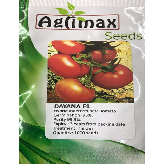 Dayana Indeterminate Tomato Premium Quality Seeds - www.Greenie.ae Buy online Best and Healthy Plants and quality products guarantee in Dubai Plants Shop in Dubai Abu Dhabi all over UAE Plants near me Fresh Plants in Dubai where to buy plants in UAE - Greenie.ae