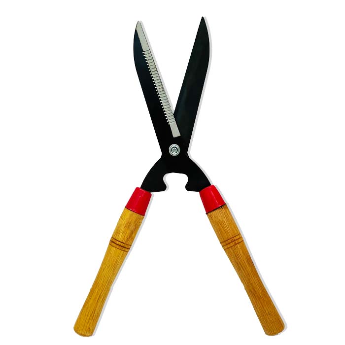 Trimmer - www.Greenie.ae Buy online Best and Healthy Plants and quality products guarantee in Dubai Plants Shop in Dubai Abu Dhabi all over UAE Plants near me Fresh Plants in Dubai where to buy plants in UAE - Greenie.ae