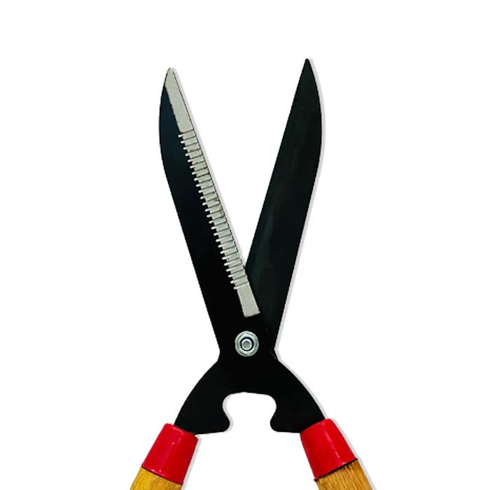 Trimmer - www.Greenie.ae Buy online Best and Healthy Plants and quality products guarantee in Dubai Plants Shop in Dubai Abu Dhabi all over UAE Plants near me Fresh Plants in Dubai where to buy plants in UAE - Greenie.ae