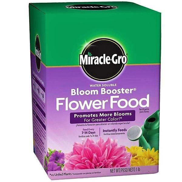 Miracle-Gro Water Soluble Bloom Booster Flower Food - www.Greenie.ae Buy online Best and Healthy Plants and quality products guarantee in Dubai Plants Shop in Dubai Abu Dhabi all over UAE Plants near me Fresh Plants in Dubai where to buy plants in UAE - Greenie.ae