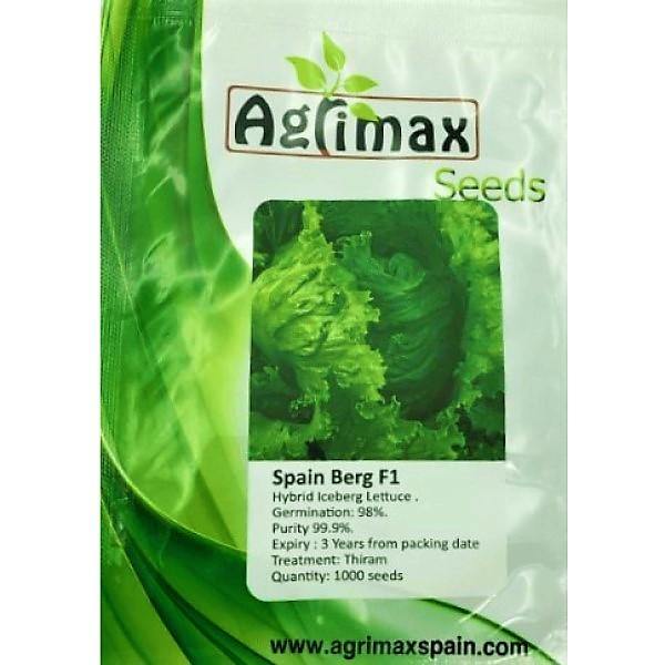 Lettuce Iceberg F1 Premium Seeds - www.Greenie.ae Buy online Best and Healthy Plants and quality products guarantee in Dubai Plants Shop in Dubai Abu Dhabi all over UAE Plants near me Fresh Plants in Dubai where to buy plants in UAE - Greenie.ae