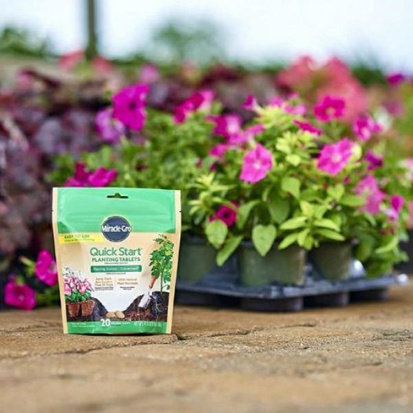 Miracle-Gro- Quick Start Planting Tablets - www.Greenie.ae Buy online Best and Healthy Plants and quality products guarantee in Dubai Plants Shop in Dubai Abu Dhabi all over UAE Plants near me Fresh Plants in Dubai where to buy plants in UAE - Greenie.ae
