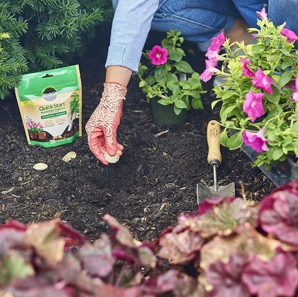 Miracle-Gro- Quick Start Planting Tablets - www.Greenie.ae Buy online Best and Healthy Plants and quality products guarantee in Dubai Plants Shop in Dubai Abu Dhabi all over UAE Plants near me Fresh Plants in Dubai where to buy plants in UAE - Greenie.ae
