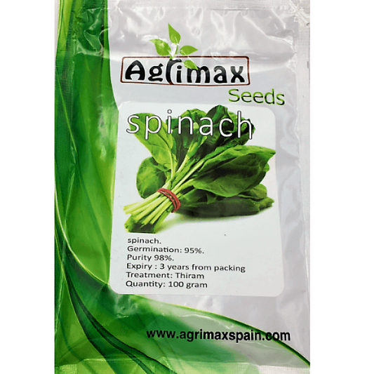 Spinach Premium Quality Seeds - www.Greenie.ae Buy online Best and Healthy Plants and quality products guarantee in Dubai Plants Shop in Dubai Abu Dhabi all over UAE Plants near me Fresh Plants in Dubai where to buy plants in UAE - Greenie.ae