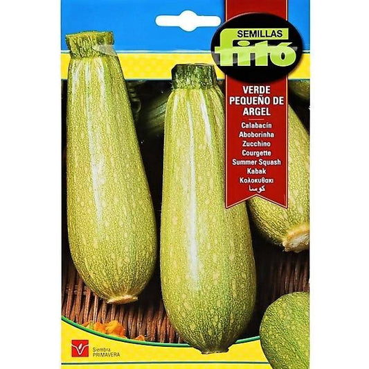 Squash Verde Pequeno De Argel Seeds - www.Greenie.ae Buy online Best and Healthy Plants and quality products guarantee in Dubai Plants Shop in Dubai Abu Dhabi all over UAE Plants near me Fresh Plants in Dubai where to buy plants in UAE - Greenie.ae