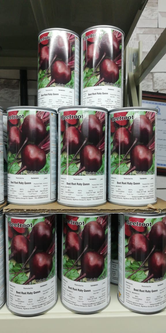 Ruby Queen Beetroot Seeds Tin - www.Greenie.ae Buy online Best and Healthy Plants and quality products guarantee in Dubai Plants Shop in Dubai Abu Dhabi all over UAE Plants near me Fresh Plants in Dubai where to buy plants in UAE - Greenie.ae