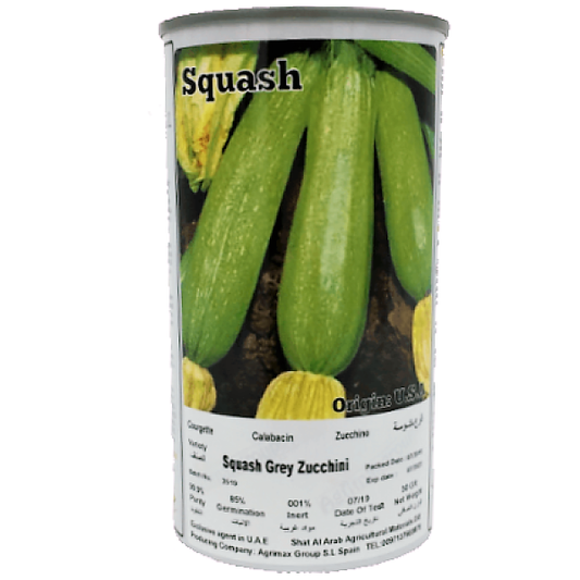 Gray Squash Zucchini Seeds Tin - www.Greenie.ae Buy online Best and Healthy Plants and quality products guarantee in Dubai Plants Shop in Dubai Abu Dhabi all over UAE Plants near me Fresh Plants in Dubai where to buy plants in UAE - Greenie.ae