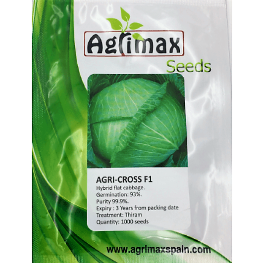 Cabbage Agri, Cross F1 Premium Quality Seeds - www.Greenie.ae Buy online Best and Healthy Plants and quality products guarantee in Dubai Plants Shop in Dubai Abu Dhabi all over UAE Plants near me Fresh Plants in Dubai where to buy plants in UAE - Greenie.ae