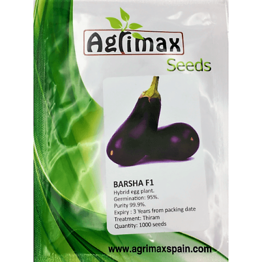 Egg Plant Barsha F1 Premium Quality Seeds - www.Greenie.ae Buy online Best and Healthy Plants and quality products guarantee in Dubai Plants Shop in Dubai Abu Dhabi all over UAE Plants near me Fresh Plants in Dubai where to buy plants in UAE - Greenie.ae
