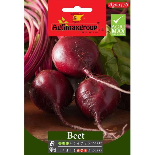 Beet Seeds - www.Greenie.ae Buy online Best and Healthy Plants and quality products guarantee in Dubai Plants Shop in Dubai Abu Dhabi all over UAE Plants near me Fresh Plants in Dubai where to buy plants in UAE - Greenie.ae