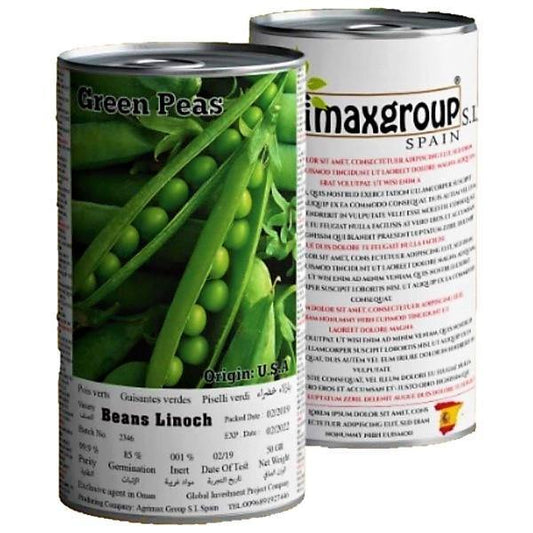 Beans Linoch Seeds Tin - www.Greenie.ae Buy online Best and Healthy Plants and quality products guarantee in Dubai Plants Shop in Dubai Abu Dhabi all over UAE Plants near me Fresh Plants in Dubai where to buy plants in UAE - Greenie.ae