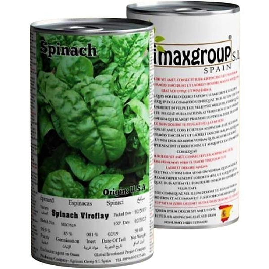 Spinach Virofalay Seeds Tin - www.Greenie.ae Buy online Best and Healthy Plants and quality products guarantee in Dubai Plants Shop in Dubai Abu Dhabi all over UAE Plants near me Fresh Plants in Dubai where to buy plants in UAE - Greenie.ae