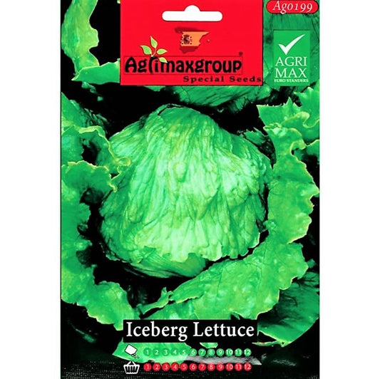 Iceberg Lettuce Seeds - www.Greenie.ae Buy online Best and Healthy Plants and quality products guarantee in Dubai Plants Shop in Dubai Abu Dhabi all over UAE Plants near me Fresh Plants in Dubai where to buy plants in UAE - Greenie.ae