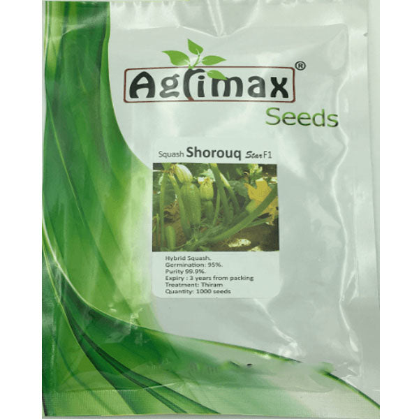 Squash F1 Premium Quality Seeds - www.Greenie.ae Buy online Best and Healthy Plants and quality products guarantee in Dubai Plants Shop in Dubai Abu Dhabi all over UAE Plants near me Fresh Plants in Dubai where to buy plants in UAE - Greenie.ae