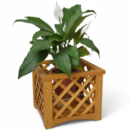 Handmade Cross Planter Keeper - www.Greenie.ae Buy online Best and Healthy Plants and quality products guarantee in Dubai Plants Shop in Dubai Abu Dhabi all over UAE Plants near me Fresh Plants in Dubai where to buy plants in UAE - Greenie.ae