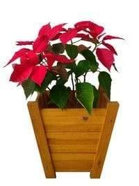 Handmade Wakhla Planter Keeper - www.Greenie.ae Buy online Best and Healthy Plants and quality products guarantee in Dubai Plants Shop in Dubai Abu Dhabi all over UAE Plants near me Fresh Plants in Dubai where to buy plants in UAE - Greenie.ae