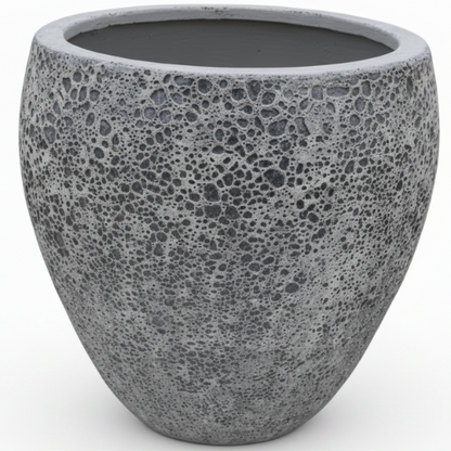 Omega Pot - www.Greenie.ae Buy online Best and Healthy Plants and quality products guarantee in Dubai Plants Shop in Dubai Abu Dhabi all over UAE Plants near me Fresh Plants in Dubai where to buy plants in UAE - Greenie.ae