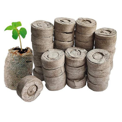 Peat Pellets or Peat Seeds Starters - www.Greenie.ae Buy online Best and Healthy Plants and quality products guarantee in Dubai Plants Shop in Dubai Abu Dhabi all over UAE Plants near me Fresh Plants in Dubai where to buy plants in UAE - Greenie.ae